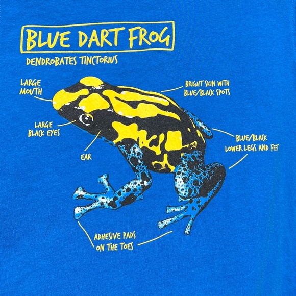 Blue Dart Frog Short Sleeve Tee Shirt - Picture 4 of 11
